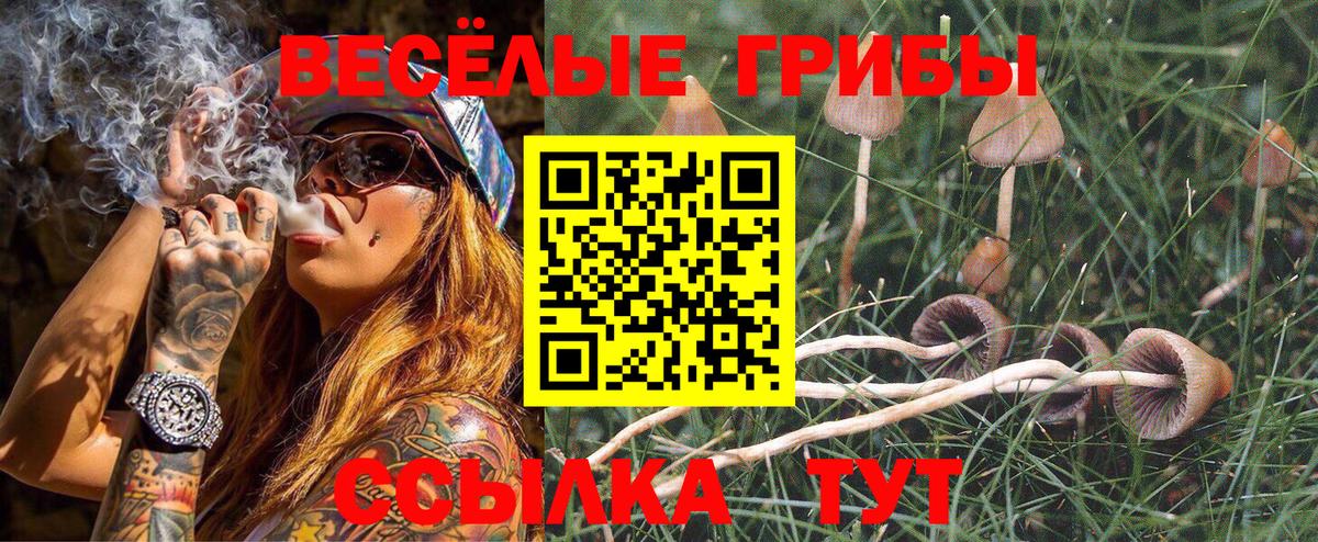 Ангарск  Галлюциногенные грибы прущие грибы  Вход с VPN 
